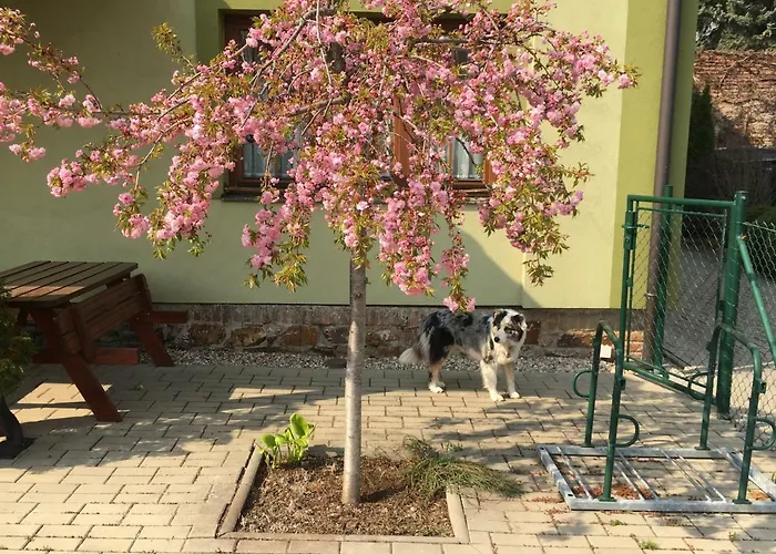 Homestay szállás U Horskych *
